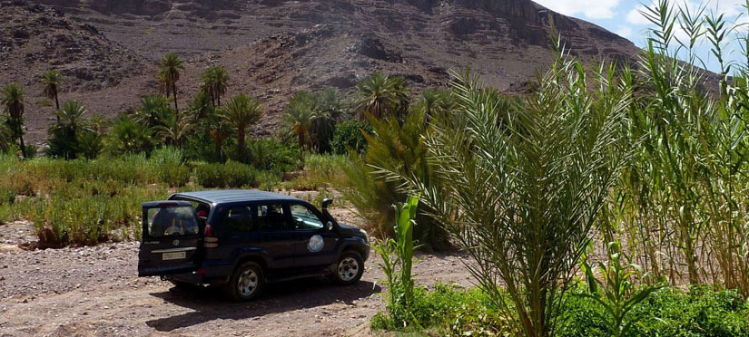 Oasis de Fint - Maroc Légendes Evasions