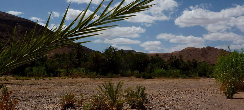 Oasis de Fint - Ouarzazate Légendes Evasions