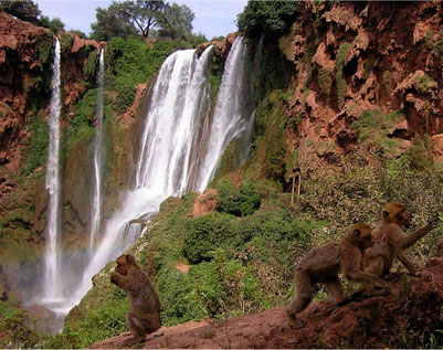 ouzoud waterfalls morocco