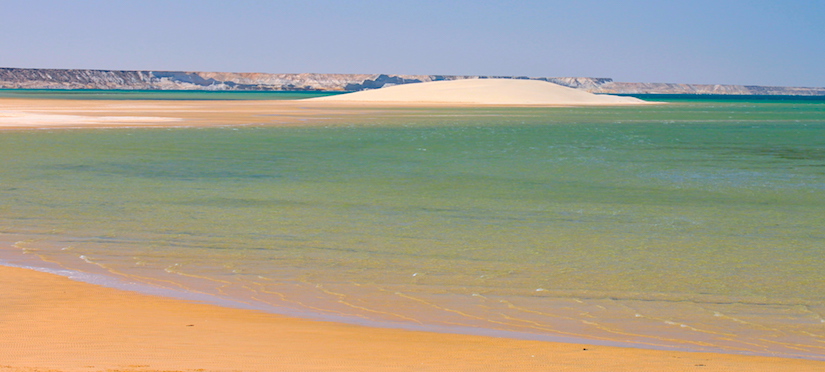 White Dune Dakhla Legendes Evasions Dakhla Rovers excursions